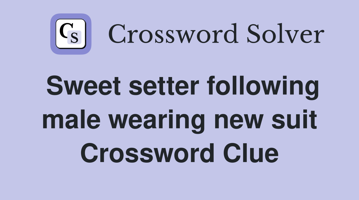 Sweet setter following male wearing new suit Crossword Clue Answers